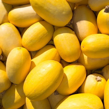 Spaghetti Squash