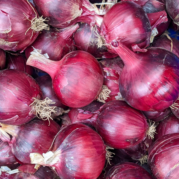 Red Onions - 1