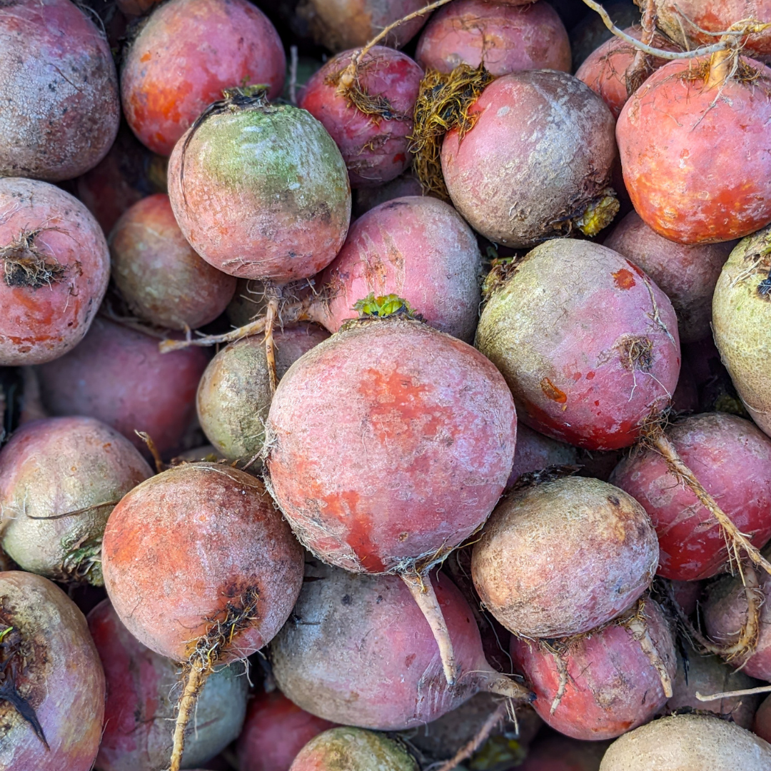 Golden Beets