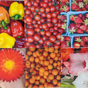 Confluence Farms Greeting Cards - 1