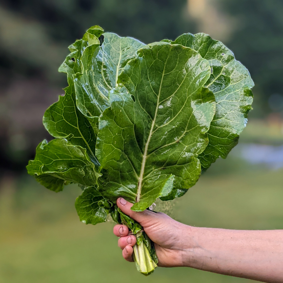 Collards