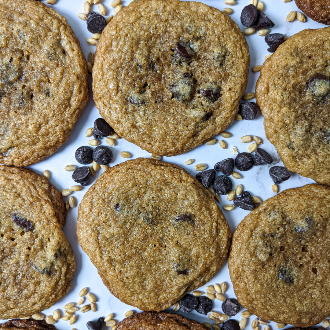 Bake-At-Home Soft & Chewy Chocolate Chip Cookies
