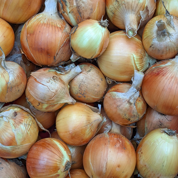 Petite Yellow Onions