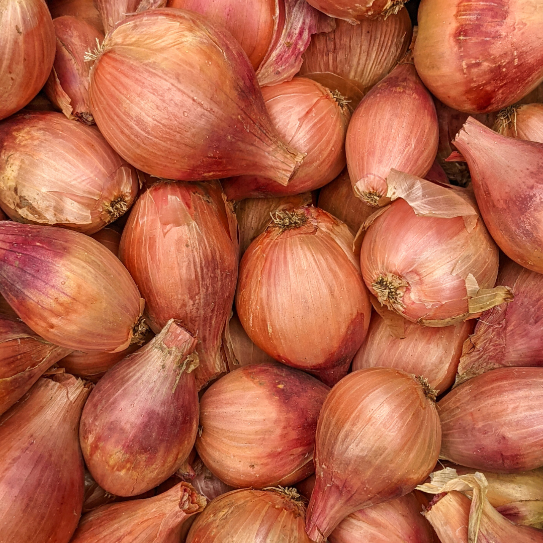 Shallots