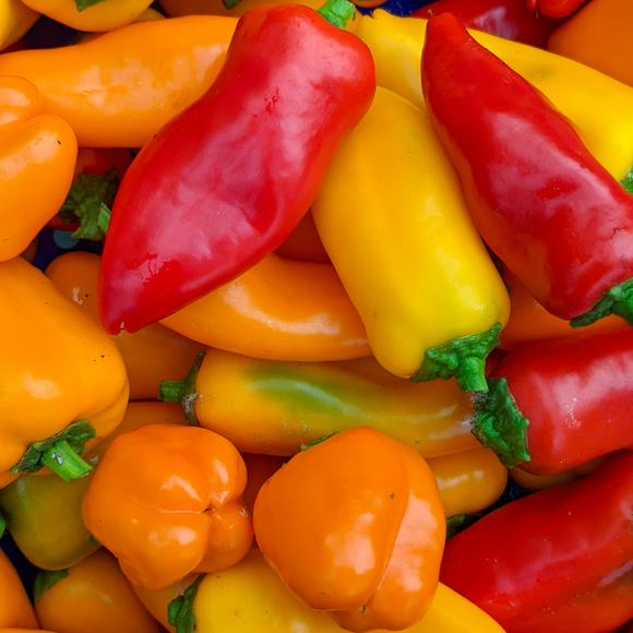 Sweet Picnic Peppers