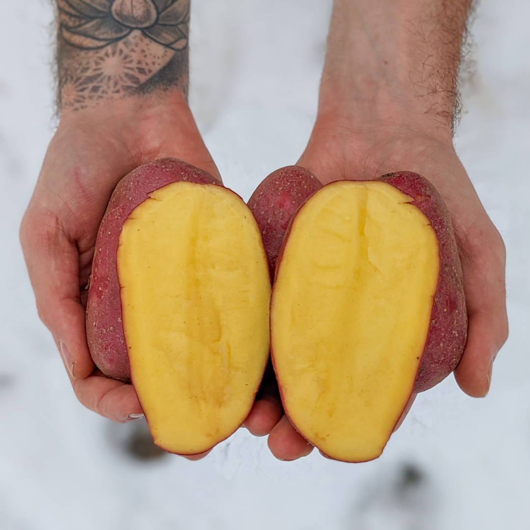 Prince Of Orange Potatoes