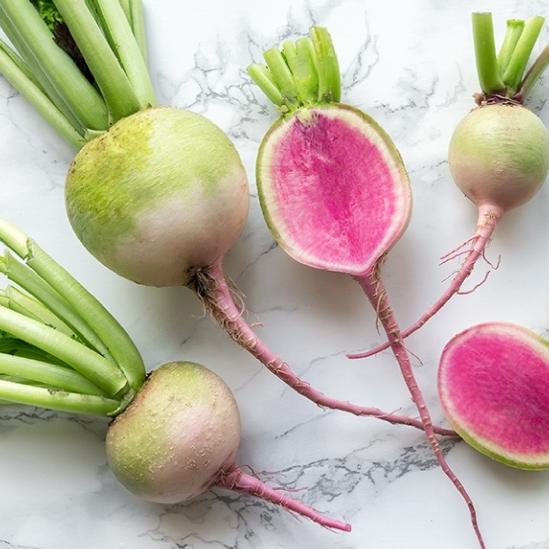 Watermelon Radish