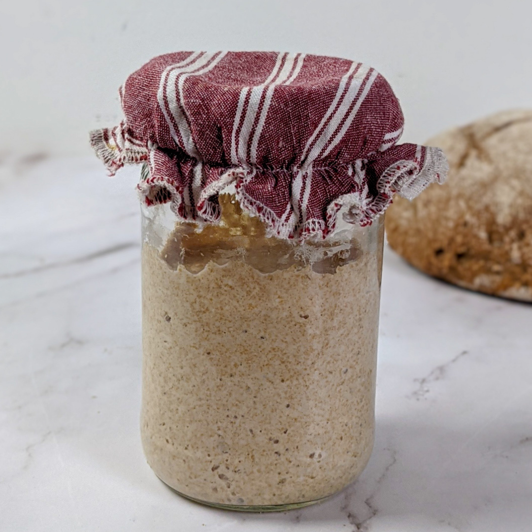 50 Year Old Whole Wheat Sourdough Starter