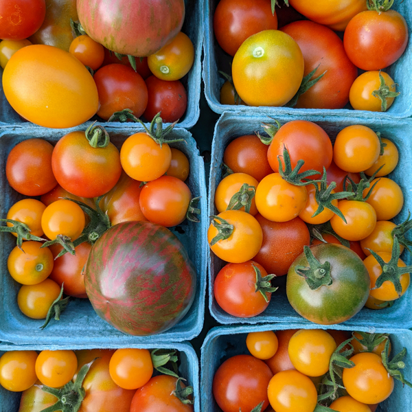 Cherry Tomatoes - 1